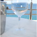 Viktorija Seget Vranjica