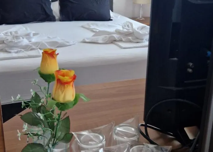 Viktorija Seget Vranjica